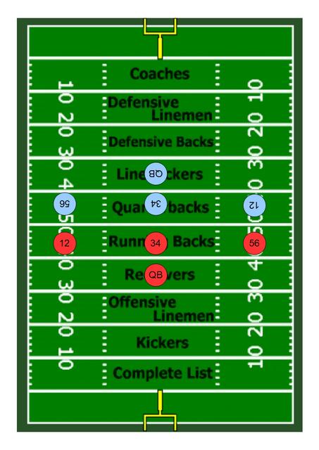 American Football Field Board